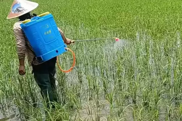 图片[4]-磷酸二氢钾如何兑水引关注，作物及使用方法影响兑水量解读-会东网