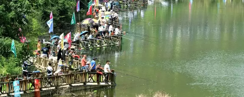 蚯蚓钓鲤鱼的绝招,提前打好窝子要点-会东网