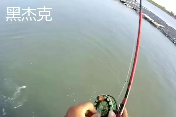 图片[8]-前打竿口碑品牌揭秘，一击等品牌受钓鱼者青睐-会东网