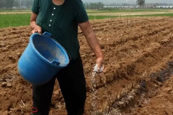 图片[2]-尿素使用禁忌曝光，10点注意事项需牢记-会东网