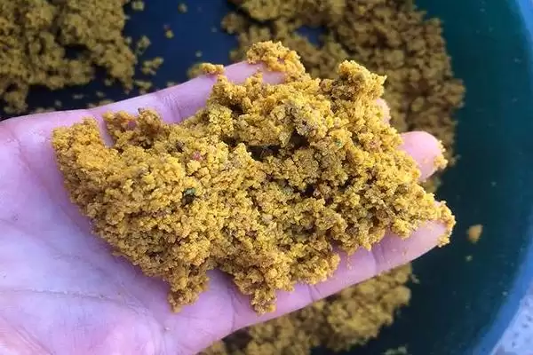 图片[9]-青鱼的钓法，4-6月和8-11月最佳垂钓时间解析-会东网