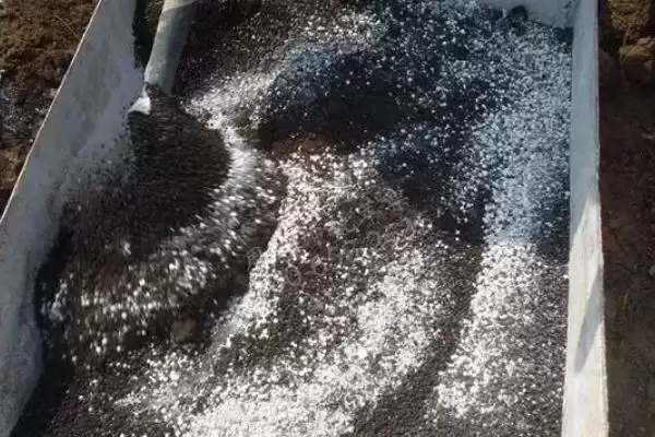 图片[3]-磷酸二氢钾农业应用揭秘，浸种、拌种、做底肥等方法解读-会东网