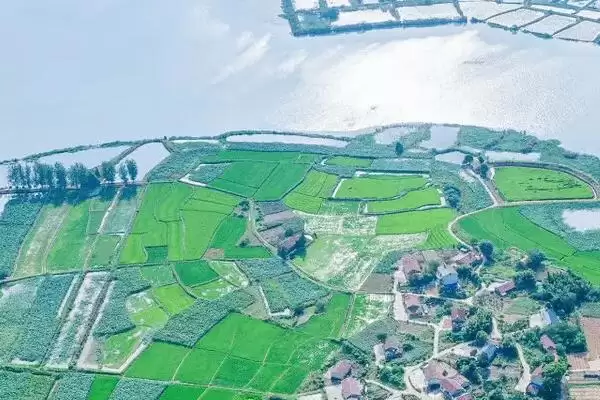 图片[3]-围湖造田有什么危害？严重破坏生态平衡解析-会东网