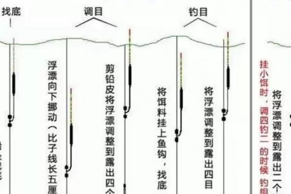 图片[5]-晚上能不能垂钓罗非鱼？准备钓具可进行垂钓-会东网