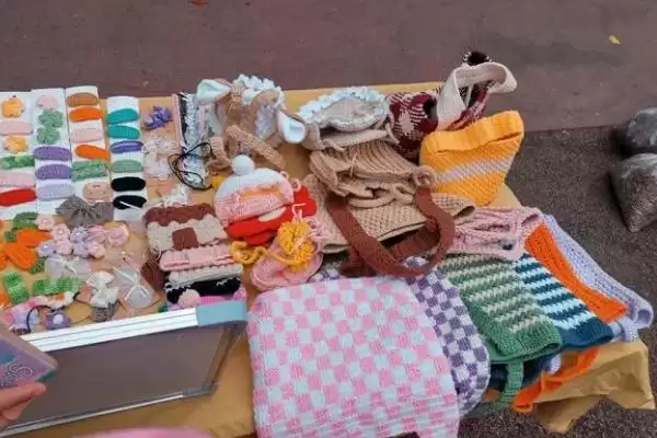 图片[9]-赚钱摆地摊项目揭秘，玩具、服装等热门项目解读-会东网