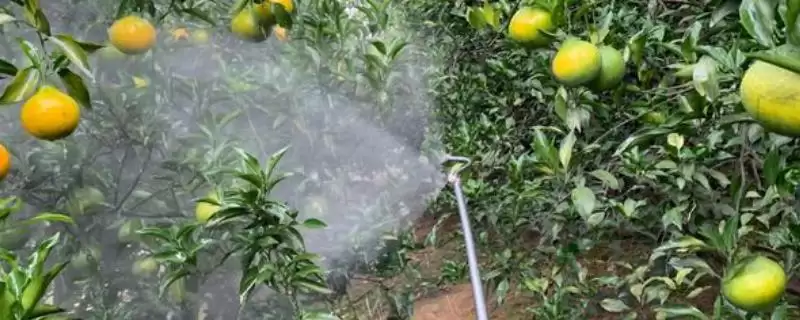 磷酸二氢钾如何兑水引关注，作物及使用方法影响兑水量解读-会东网