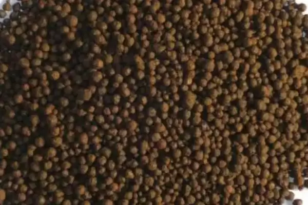 图片[2]-农业酵素菌肥制作有招，红糖果蔬叶兑水装瓶即制成-会东网