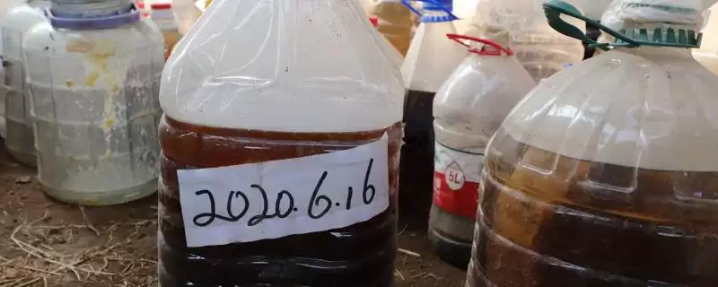 农业酵素菌肥制作有招,红糖果蔬叶兑水装瓶即制成-会东网