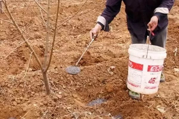 图片[10]-尿素使用误区揭秘，作种肥易毒害作物要点-会东网