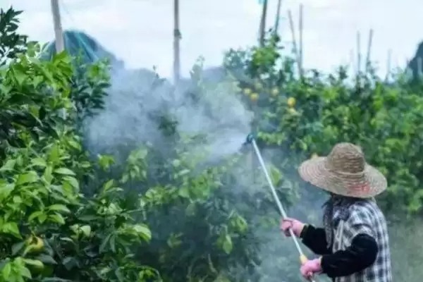 图片[3]-磷酸二氢钾如何兑水引关注，作物及使用方法影响兑水量解读-会东网