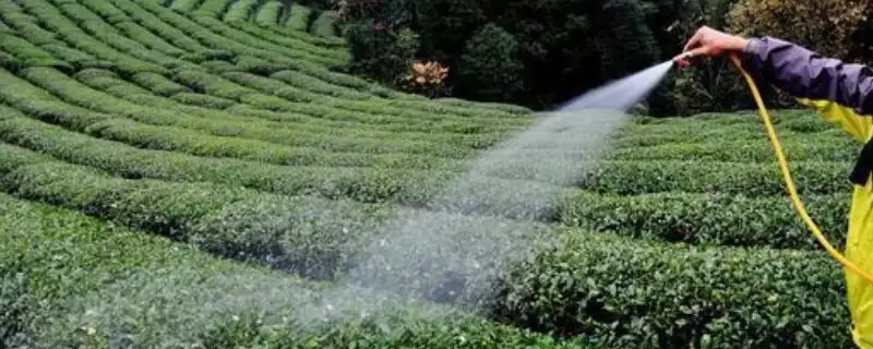 磷酸二氢钾使用浓度曝光，叶面喷施0.2-0.3%浓度要点公布-会东网
