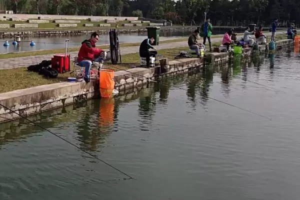 图片[5]-青鱼的钓法，4-6月和8-11月最佳垂钓时间解析-会东网