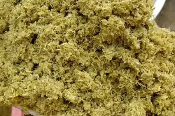 图片[3]-养牛如何节省饲料(养牛节省饲料的方法有哪些)？-会东网