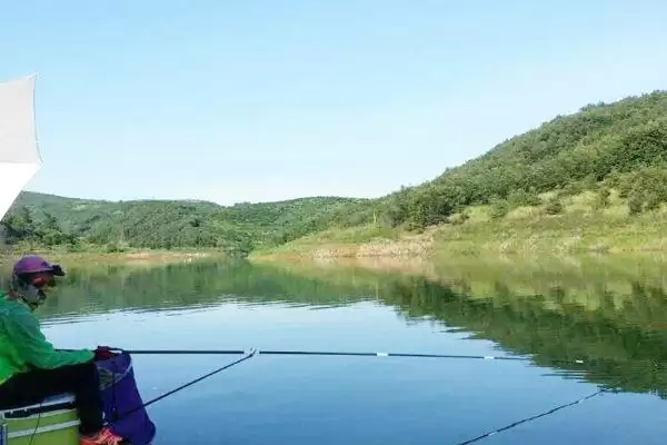 图片[3]-水库草鱼钓底还是半水，根据时间及水体氧气含量调整的要点-会东网