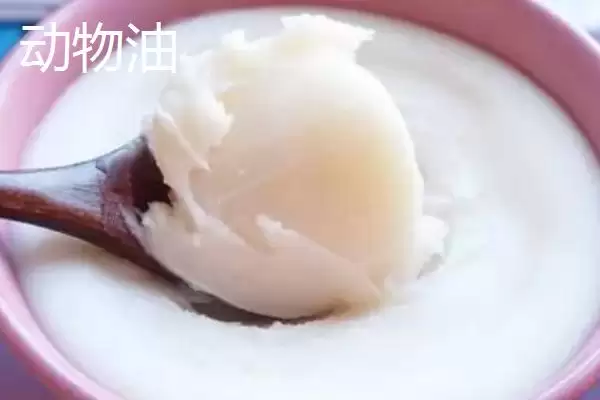 图片[4]-什么是植物油，以植物种仁为原料加工得到油脂的详细介绍-会东网