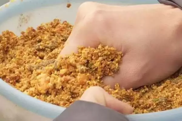 图片[6]-台钓鲢鳙鱼有什么方法？选溶氧量高水域作钓点-会东网