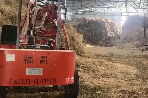 图片[2]-养牛如何节省饲料(养牛节省饲料的方法有哪些)？-会东网