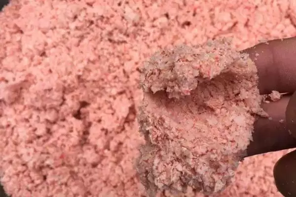 图片[8]-秋天钓草鱼的技巧，用玉米等饵料打窝垂钓要点-会东网