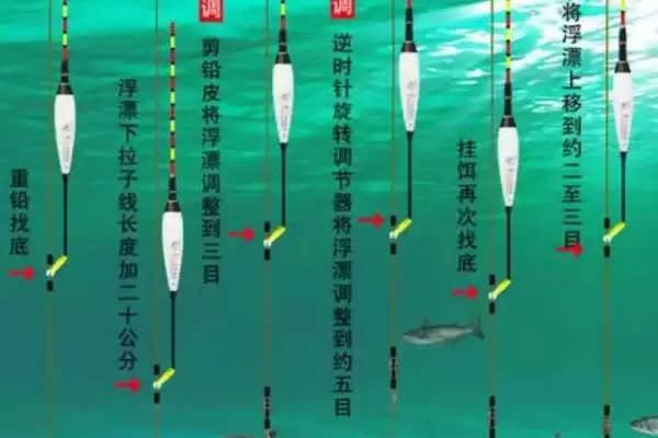 图片[2]-台钓鲤鱼如何有效调漂？先重铅找底再修剪铅皮-会东网