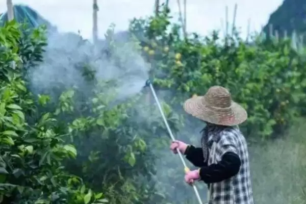 图片[3]-三唑酮不能和哪些药混用，不能和波尔多夜、石硫合剂、多抗霉素等混用的原因-会东网