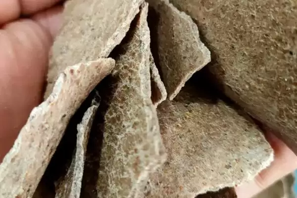 图片[7]-十一月钓鱼技巧，晴朗天气上午出钓的优势-会东网