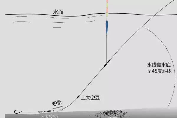 图片[8]-台钓和传统钓所用鱼漂有啥区别？台钓主用立漂等-会东网