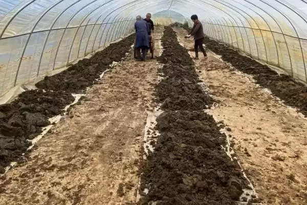图片[2]-蚯蚓的养殖方法，根据情况选择合适容器养殖要点-会东网