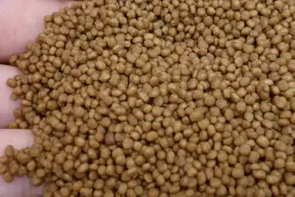 图片[2]-乌龟饲料是否需泡水及泡水更易消化原因？-会东网