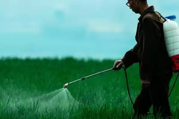 图片[4]-综合治理蝗虫的技术，可农业防治、生物防治和化学防治？-会东网