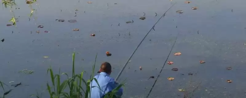 野钓的意思(野钓指的是什么意思)?-会东网