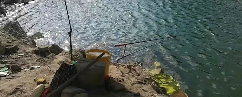 秋季钓鱼技巧,中秋气温适宜垂钓技巧要点-会东网