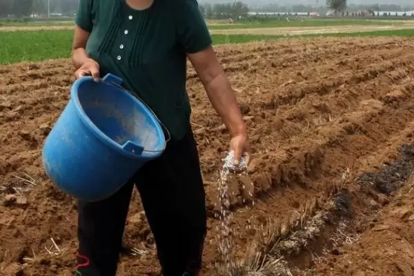 图片[2]-如何选择和施用复混肥，依气候、土壤等选择施用要点-会东网