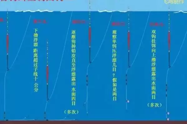 图片[7]-台钓和传统钓所用鱼漂有啥区别？台钓主用立漂等-会东网