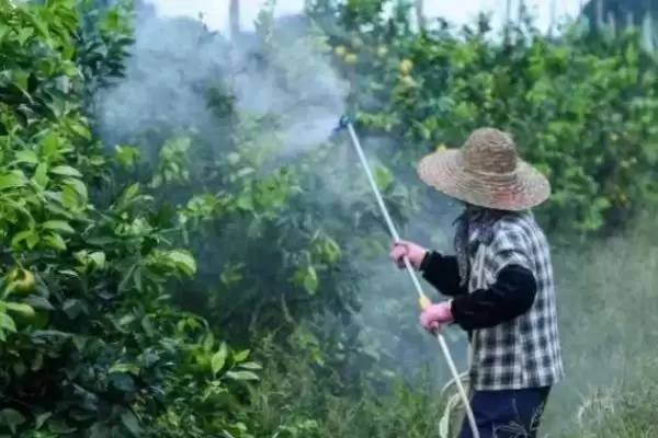 图片[4]-三唑酮的适用作物，基本所有农作物和果树均适用的适用范围-会东网