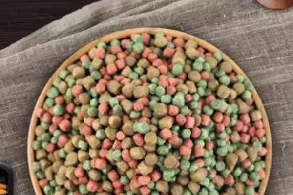 图片[4]-乌龟饲料是否需泡水及泡水更易消化原因？-会东网