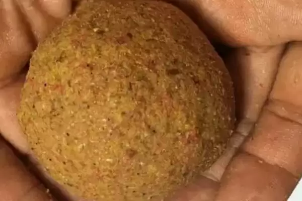 图片[3]-秋天夜钓用什么饵料，自然、商品、自制饵料选择要点-会东网