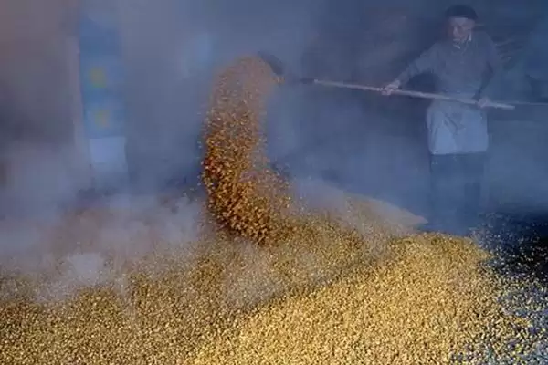 图片[6]-玉米怎么酿醋(玉米酿醋需去皮碾碎后装入缸内酿制)？-会东网