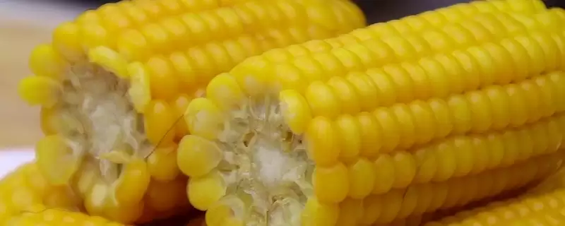 泽玉709玉米种子特点(泽玉709玉米种子有何特点)？-会东网