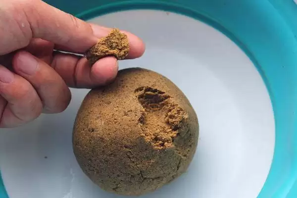 图片[8]-新手钓鱼要点及晴朗天气作钓要点？-会东网