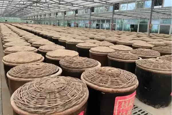 图片[4]-玉米怎么酿醋(玉米酿醋需去皮碾碎后装入缸内酿制)？-会东网