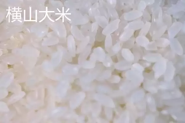 图片[11]-重庆市綦江有啥特产(重庆市綦江特产黑山方竹笋为中国独有)？-会东网