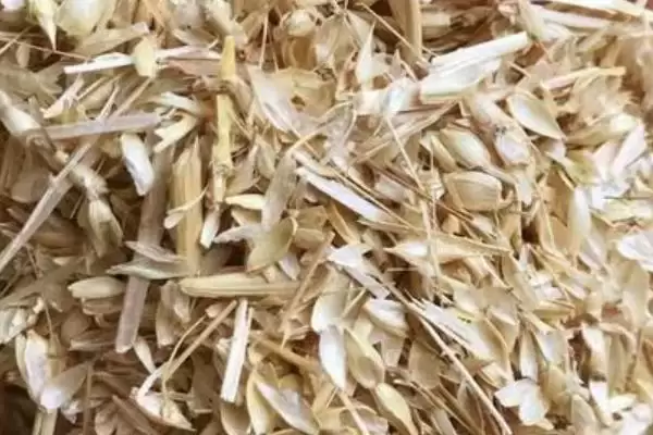 图片[2]-养猪没麸皮用什么代替(养猪没麸皮可用什么替代)？-会东网