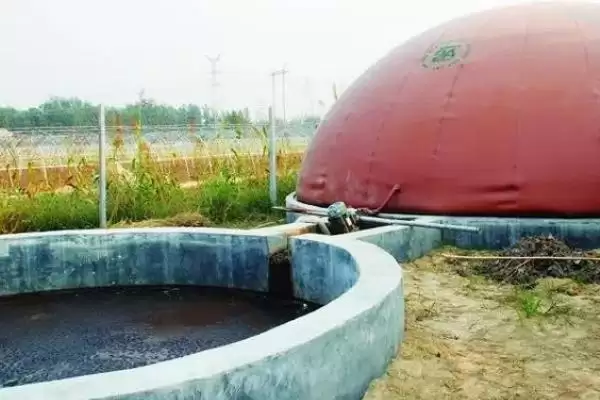 图片[4]-养鸡场鸡粪怎么处理(养鸡场鸡粪如何处理)？-会东网