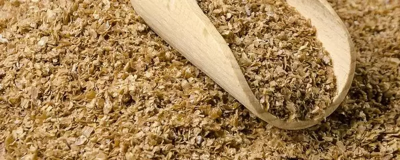养猪没麸皮用什么代替(养猪没麸皮可用什么替代)？-会东网
