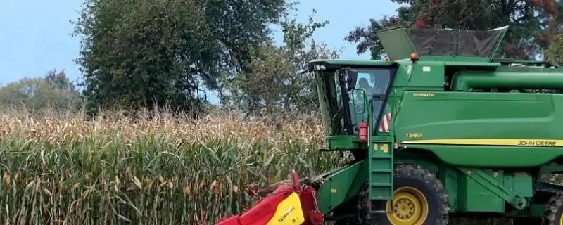 玉米联合收割台摘棒时掉粒子怎么办(玉米联合收割台摘棒掉粒子如何解决)?-会东网