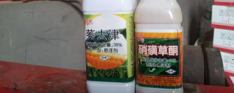 硝磺草酮除草范围：阔叶草和一些禾本科杂草要点？-会东网