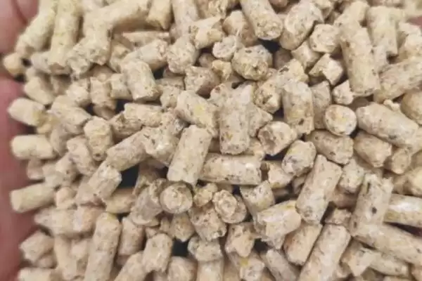 图片[4]-猪粮比处于多少才能保本(猪粮比通常要处于5.5：1才能保本)？-会东网