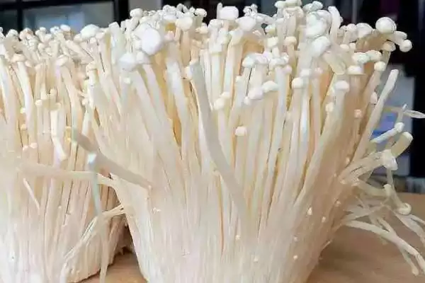 图片[6]-蘑菇怎么种植(蘑菇种植需将基质装入菇袋灭菌处理后接种)？-会东网
