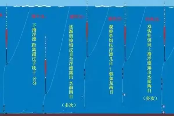 图片[3]-五六月份钓鱼技巧及光线选择要点？-会东网