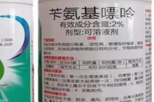 图片[4]-植物生长激素有哪些类型(植物生长激素公认种类包括5个)？-会东网